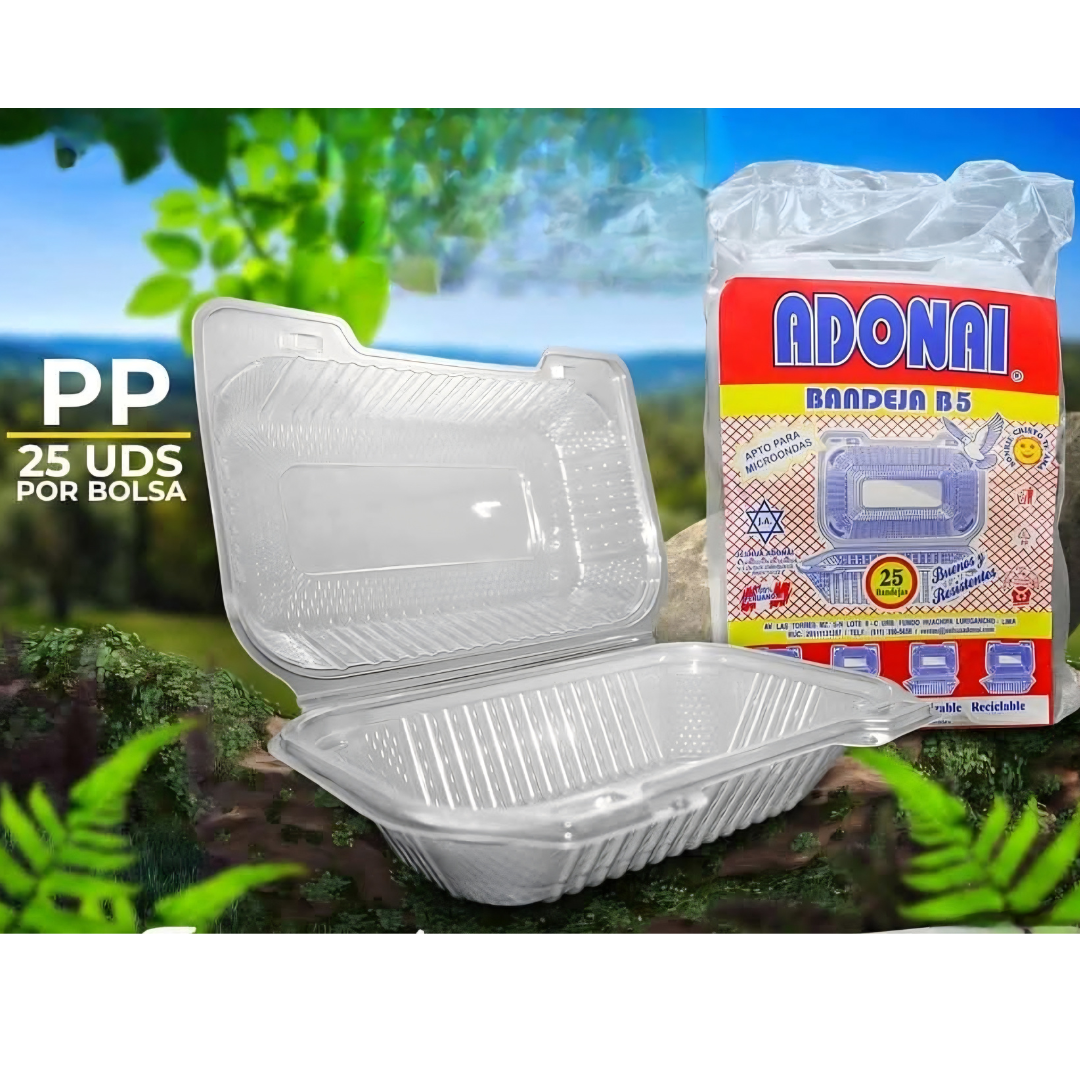 BANDEJA B5
